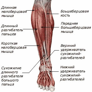 Посмотрим вниз